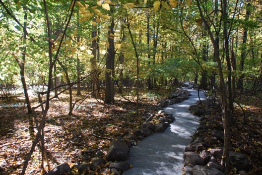 Stone River / Jon Piasecki (13)