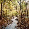 Stone River / Jon Piasecki (6) © John Dolan