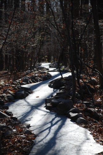 Stone River / Jon Piasecki