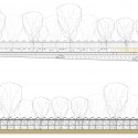 elevation and section elevation and section