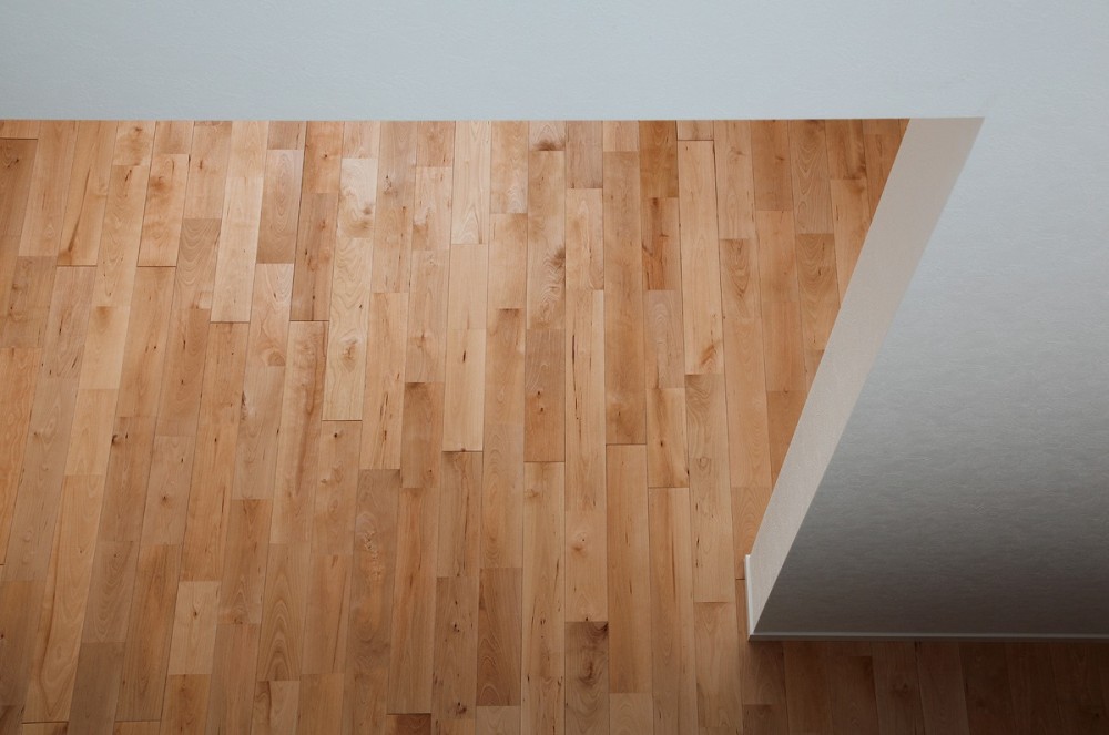 Stay Residence / Studio Loop