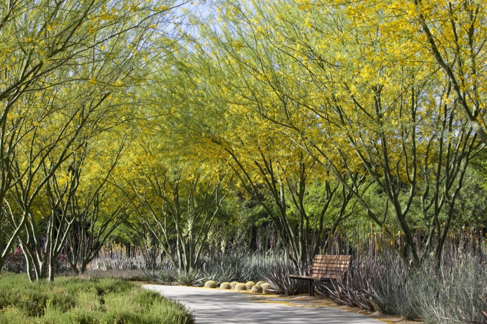 Sunnylands Center and Gardens / The Office of James Burnett , Frederick Fisher + Partners