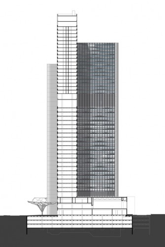 Elevation