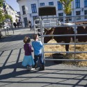 Citizens Redesign Their City in Dreamhamar (8) © Christoffer H Nilsen