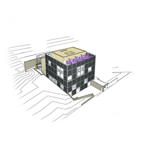 Elevation