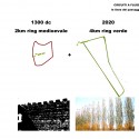 The Park Designs the City Proposal (16) diagram 07