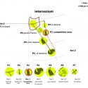 The Park Designs the City Proposal (15) diagram 06