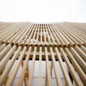 The Arbor (15) © Ilya Ivanov