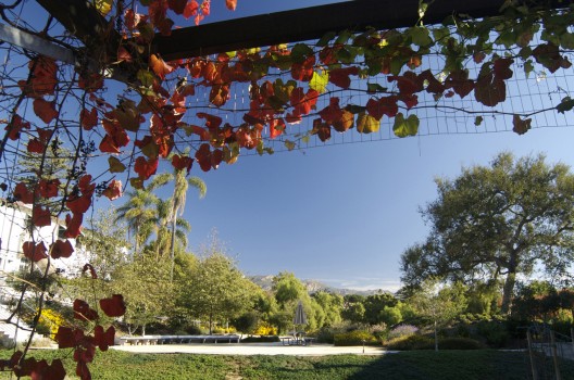 Casa Nueva: Working in the Garden / Van Atta Associates (13)