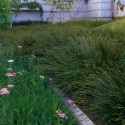 Casa Nueva: Working in the Garden / Van Atta Associates (10) Casa Nueva: Working in the Garden / Van Atta Associates (10) Courtesy of Van Atta Associates