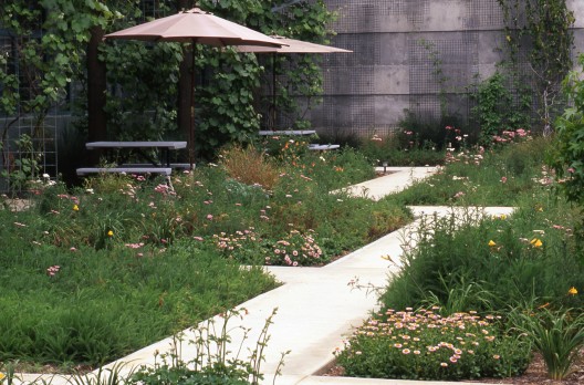 Casa Nueva: Working in the Garden / Van Atta Associates (6)