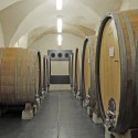 Winery Nals Margreid / Markus Scherer (10) © Bruno Klomfar