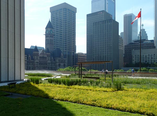 PLANT Receives Honorable Mention for NPS Roof Garden