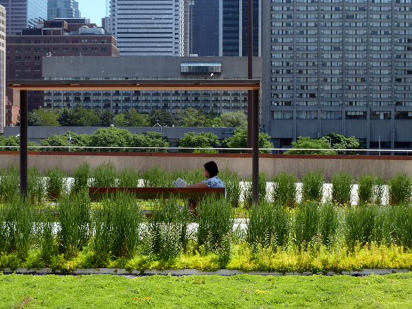 PLANT Receives Honorable Mention for NPS Roof Garden