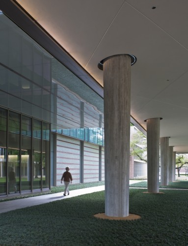Landscape Design for Brockman Hall for Physics at Rice University / The Office of James Burnett (8)