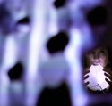 TheD4D-Sensorium-PR03 TheD4D-Sensorium-PR03 TheD4D-Sensorium-PR03