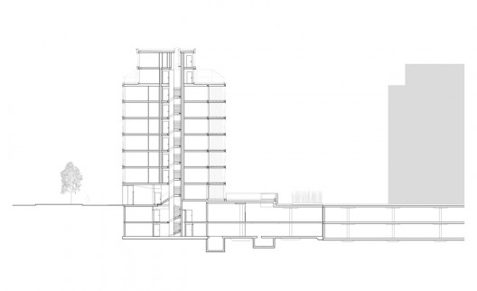 section