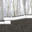 Section Section