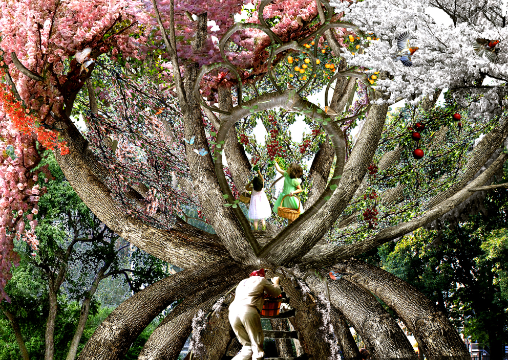 The Patient Gardener / Visiondivision
