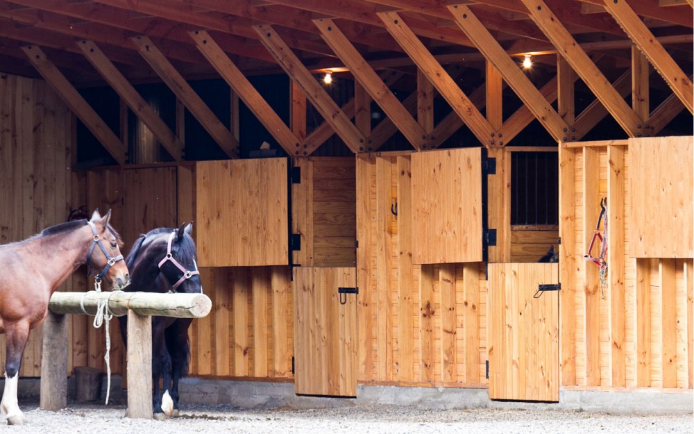 Horse Stable / Duval + Vives Arquitectos