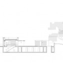 section section