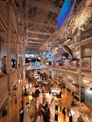 National Museum of Scotland / Gareth Hoskins Architects (2)