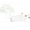 section section
