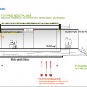 Section Section
