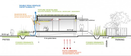 Section