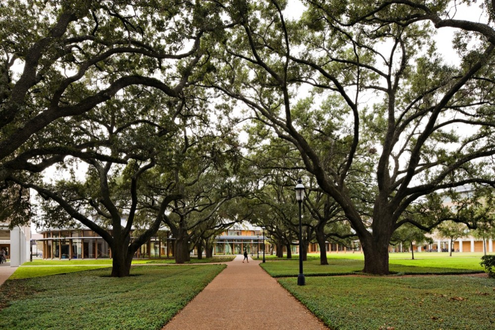 Duncan and McMurtry Colleges / Hopkins Architects with Hanbury Evans Wright Vlattas + Company