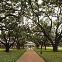 Duncan and McMurtry Colleges / Hopkins Architects (2)