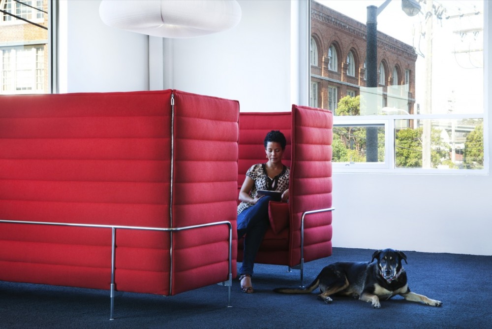 Airbnb San Francisco Headquarters / Garcia Tamjidi