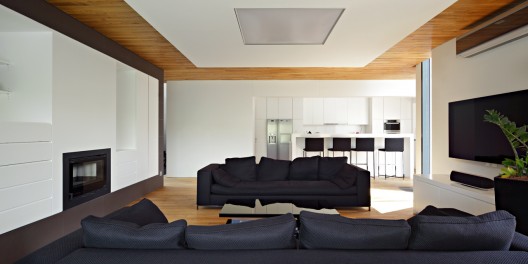Black House / DVA ARHITEKTA (1)