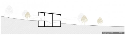 Section