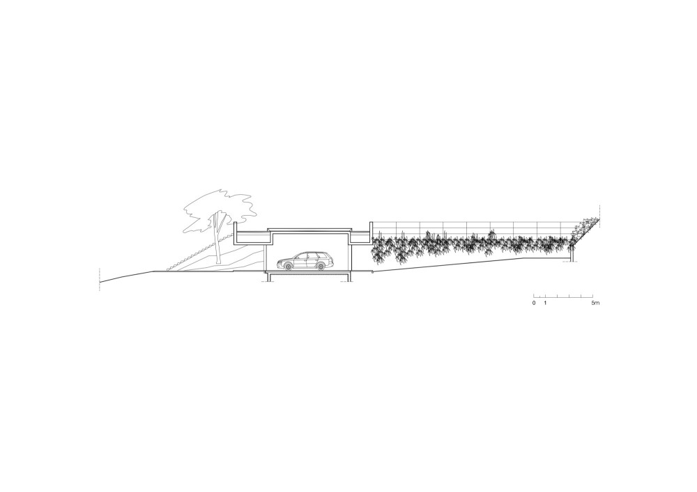 Section Section