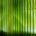 Maximiliano Restaurant / FreelandBuck (11) © Nils Timms