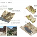 A Vision Plan for the Dead Sea (22) Wadi Analysis
