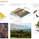 A Vision Plan for the Dead Sea (23) Jordan Rift Valley ecology and habitat