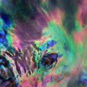Abalone Shell : Photo by Gilly Walker - http://www.flickr.com/photos/27863935@N03/