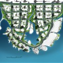 China-Taiwan Master Plan for CBD (13) China-Taiwan Master Plan for CBD (13) plan