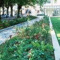 Warrior Square Gardens / Gillespies (8) © Colin Philp