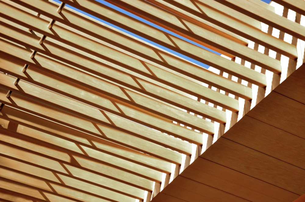 Rollercoaster / Interval Architects