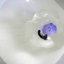 Artificial Topography / Ryumei Fujiki (9)