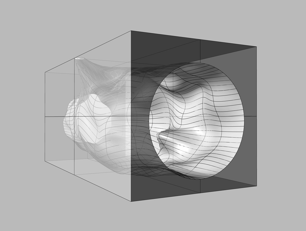 Artificial Topography / Ryumei Fujiki