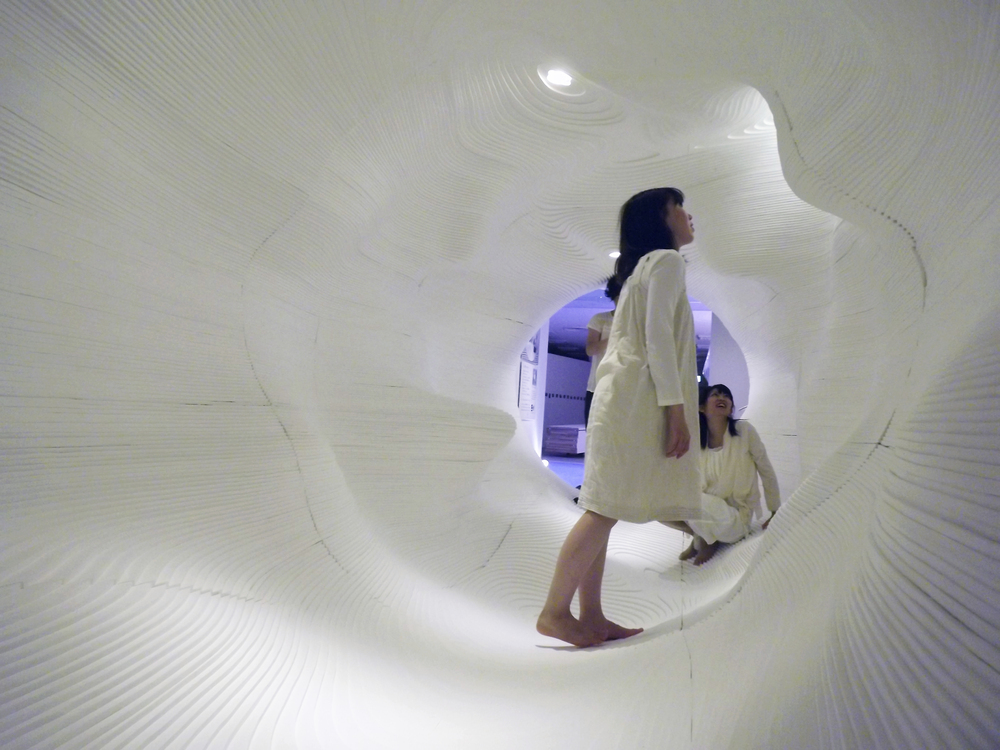 Artificial Topography / Ryumei Fujiki