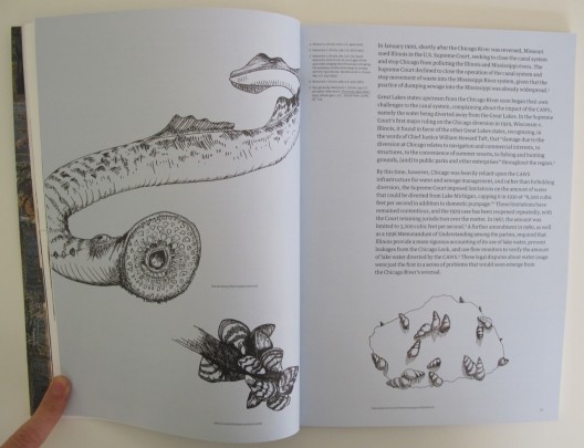 Reverse Effect: Renewing Chicago's Waterways / Jeanne Gang (5)