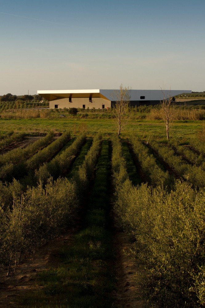 Marmelo Mill / Ricardo Bak Gordon