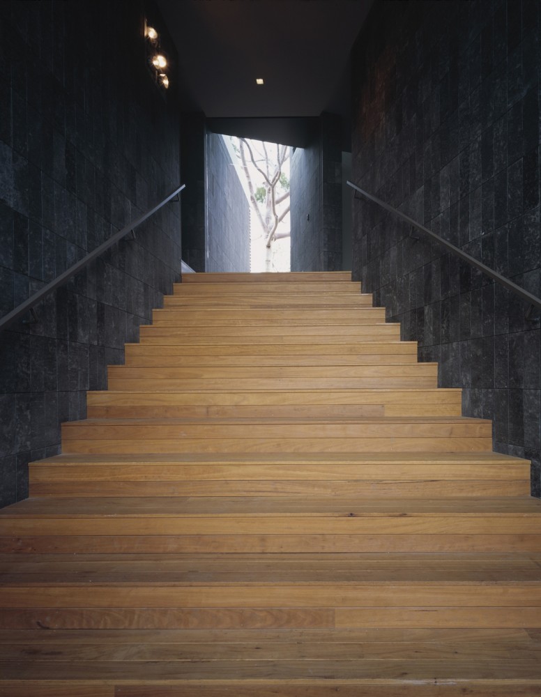 Balmoral House / Ian Moore Architects