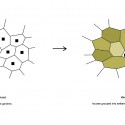 Housing Estate Proposal (10) idea diagram
