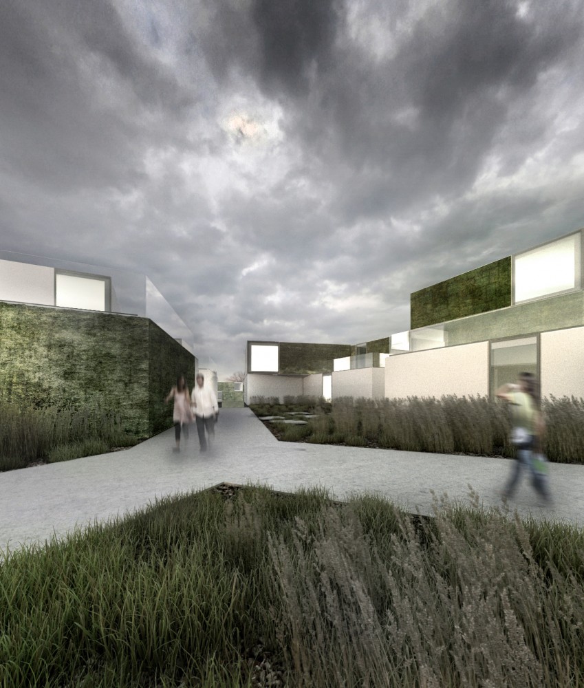 Housing Estate Proposal / Mikolai Adamus & Igor Brozyna